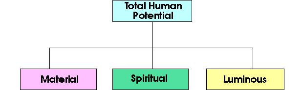 Human Potential